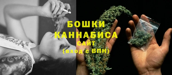 твердый Михайлов