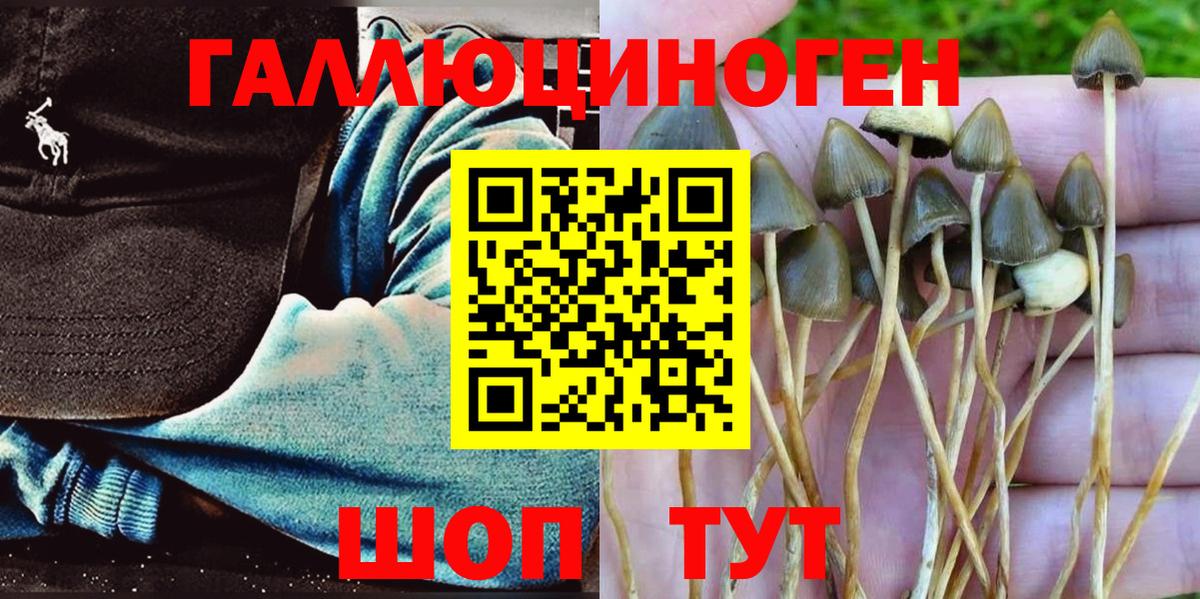 Отрадный  Псилоцибиновые грибы Magic Shrooms  Галлюциногенные грибы Psilocybe  Вход с VPN 