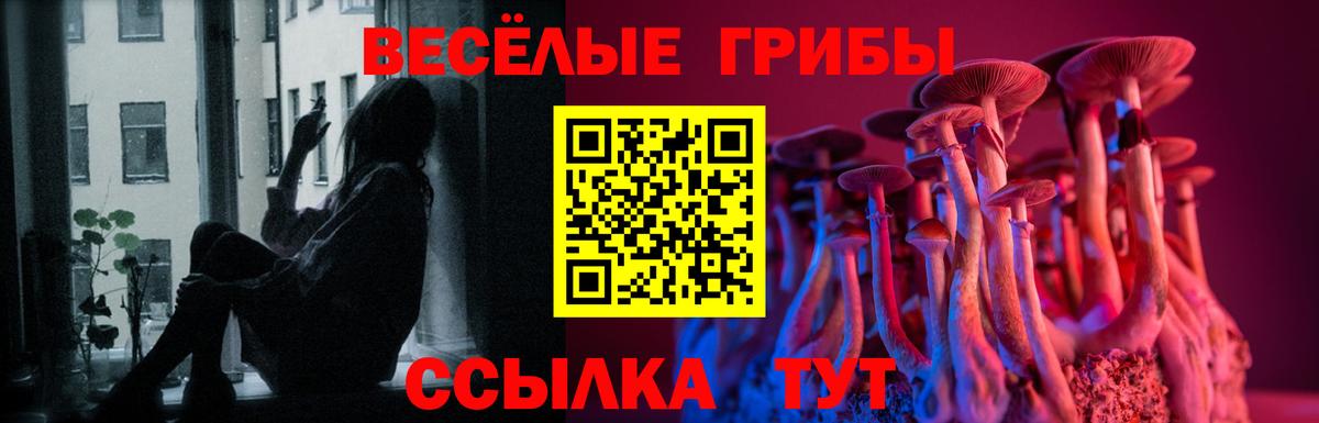 Галлюциногенные грибы прущие грибы Отрадный